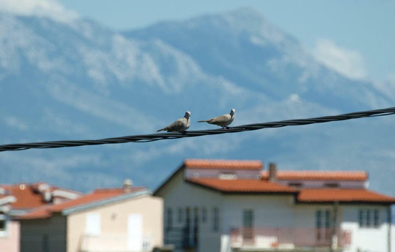 Ukic Apartament *